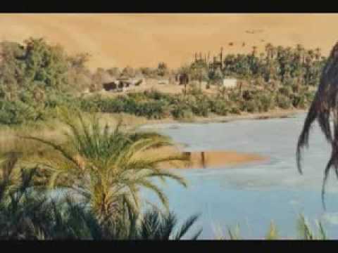 Lumin8 amp Cheever Sahara