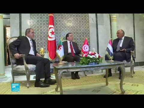 تونس والجزائر ومصر تدين "استمرار تدفق الأسلحة والإرهابيين" إلى ليبيا