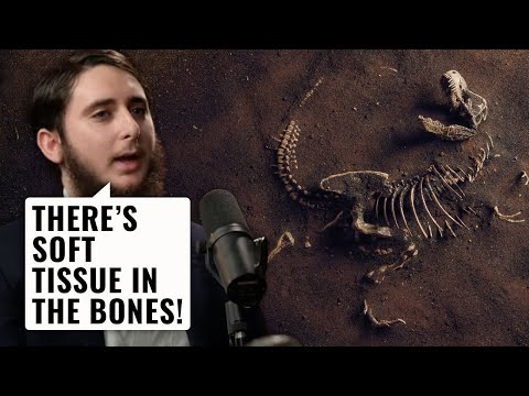 Does Soft Tissue in DINO Bones Prove the Earth Is Young? w/ Gideon Lazar & Jimmy Akin