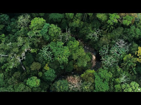 One Planet – South America