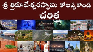 Temple video