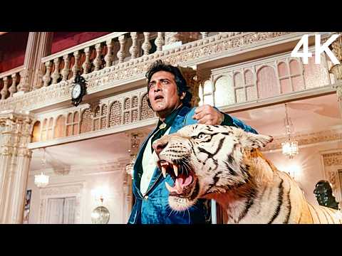 Main Ban Gaya Muqaddar Ka Badshah 4K Song | Amit Kumar | Vinod Khanna, Vijayshanti & Suparna Anand
