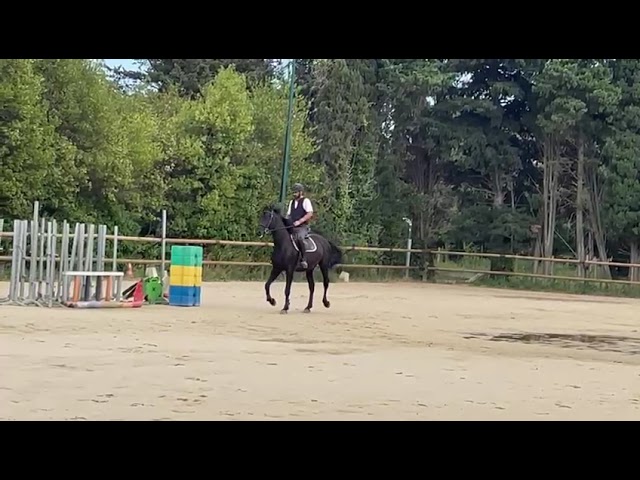 DP avec cheval polyvalent 