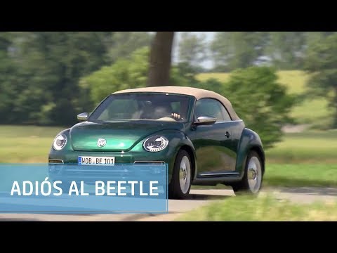 Adiós al mítico escarabajo: no habrá sucesor para el Volkswagen Beetle | Diariomotor