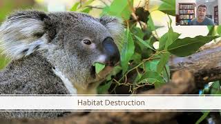 HSC EES Module 8 Habitat Destruction