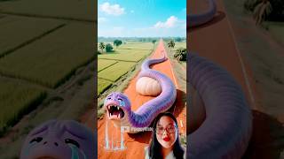 Download lagu Snake in pain until crying ‼️ #animation #funny #cartoon #comedy #animals #lucu mp3 Download lagu Snake in pain until crying ‼️ #animation #funny #cartoon #comedy #animals #lucu mp3