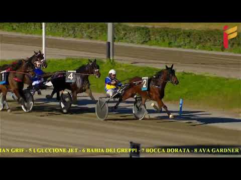 IV Corsa del 18 Febbraio 2022 - 5 anni ed oltre - Gentlemen - Metri 2000/2020