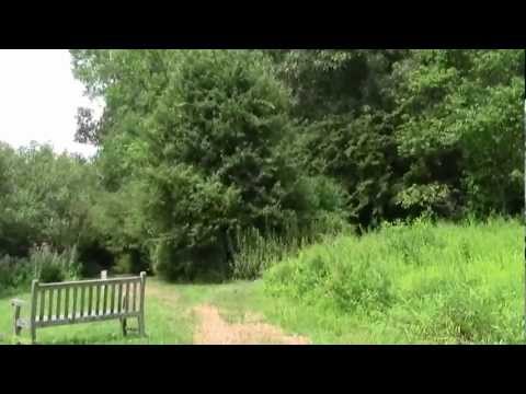 Charles River Link Trail Part 7: Longfellow Pond, Wellesley MA