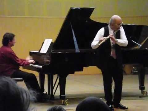 Ion Bogdan Stefanescu