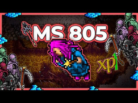 MS 805 Hunt Solo Brain Grounds 7.5kk/h Raw - Tibia Hunt [13.15] #tibia #tibiahunt