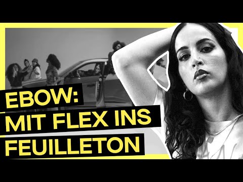 Ebow: Prada Bag und politisches Bewusstsein II PULS Musikanalyse