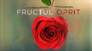 Fructul Oprit - You! Piano karaoke-cover