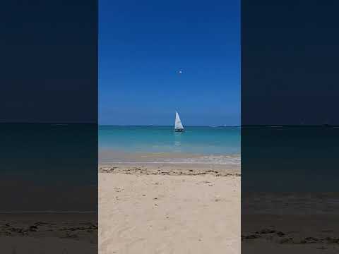 Paraíso #shorts #praia #bahia #veracruz
