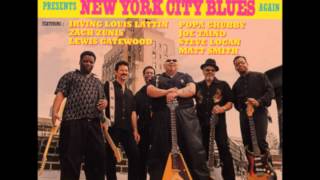 Popa Chubby - Take Off