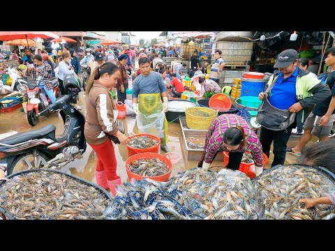 Amazing Lobsters & Fish Wholesale Site Distributes In The Region - Real Life In Cambodian Market