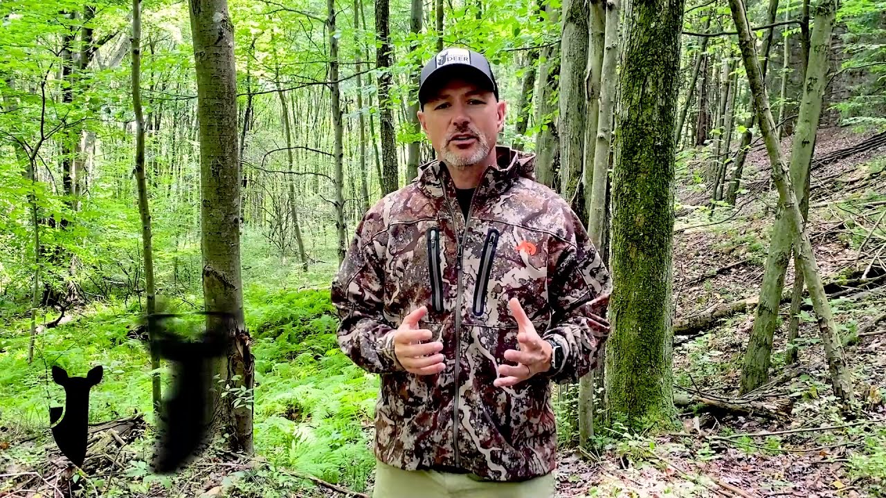 Avoid Treestand Accidents this Deer Season with the A-B-C-Ds of Treestand Safety