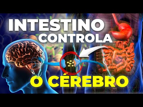 O poder do INTESTINO como SEGUNDO CÉREBRO