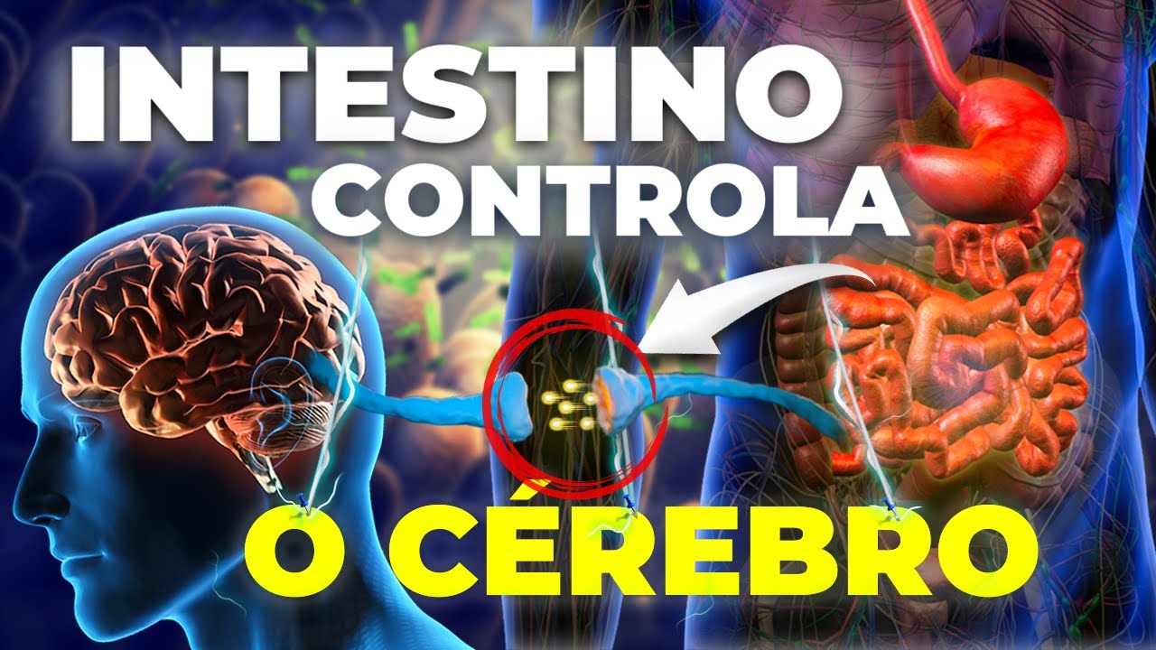 O poder do INTESTINO como SEGUNDO CÉREBRO