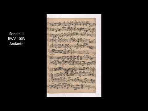 J.S.Bach Sonata II for Violin Solo BWV 1003 Andante