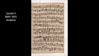J.S.Bach Sonata II for Violin Solo BWV 1003 Andante