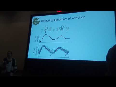 Akman: Climatically driven gene expression patterns can predict flowering time in A. thaliana
