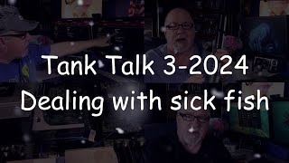 Tank Talk Ep3-2024 Treating sick fish