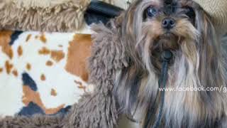 Deep in the Heart of Texas