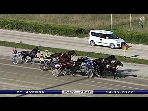 Aversa trotto 14 Maggio 2022 - 7° Corsa