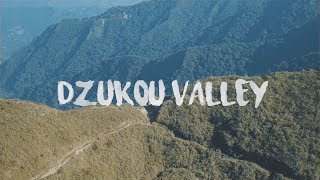 Dzukou Valley