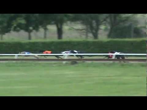 Czech Derby Trial Stakes/1 2012 - Queen Jade