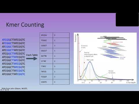 Bioinformatics Lecture 13.5: Kmers (2021)