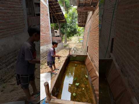 Naughty Boy Fishing for Albino Catfish #boy #fishing #catfish #albino catfish #drama #comedy #funny
