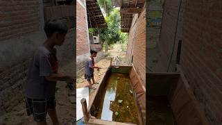 Download lagu Naughty Boy Fishing for Albino Catfish #boy #fishing #catfish #albino catfish #drama #comedy #funny mp3 Download lagu Naughty Boy Fishing for Albino Catfish #boy #fishing #catfish #albino catfish #drama #comedy #funny mp3