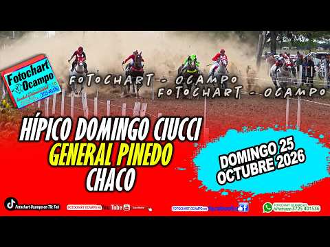 HÍPICO DOMINGO CIUCCI- GENERAL PINEDO . CHACO- Resumen de la Reunión del 25/10/2026