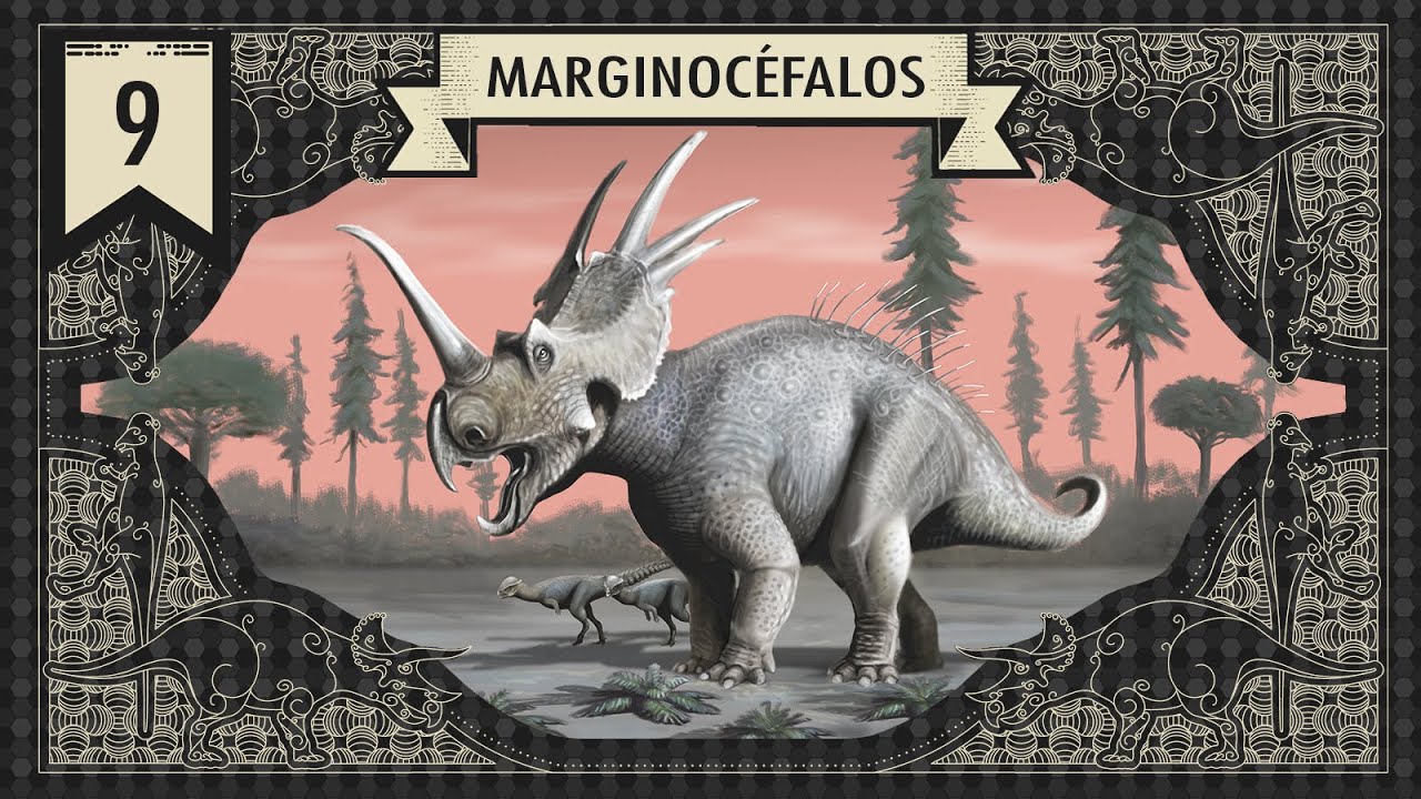 DINOSSAUROS: CERATÓPSIOS E PAQUICEFALOSSAUROS (MARGINOCÉFALOS)
