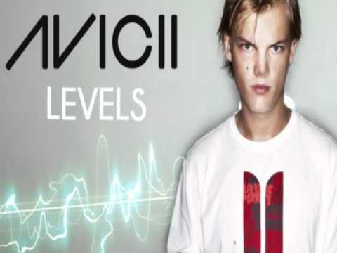 Avicii Sum41 LEVELS MASHUP MegaMIX