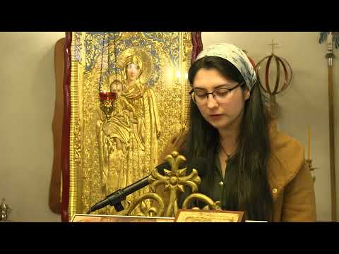 Elena Aurică - Cutează și privește (poezie)