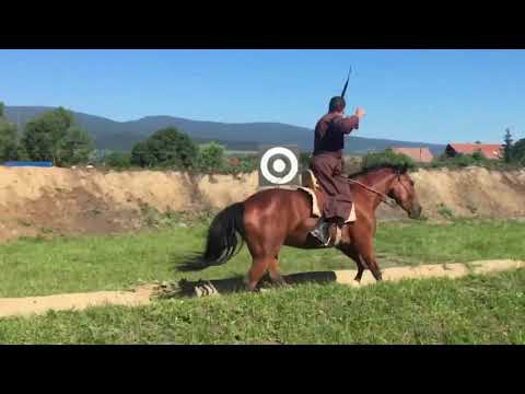 Dávid Molnár-Kassai School, Piroska törzs-Hungary