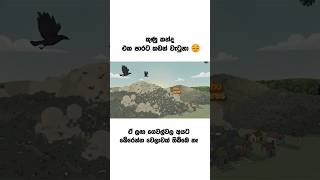 Download lagu මීතොටමුල්ල ඛේදවාචකය | Meethotamulla Disaster 2017 mp3