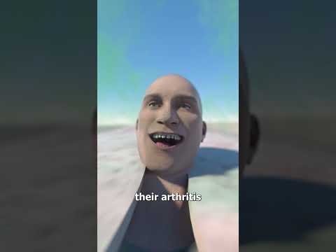 The Whale Hotel 😮