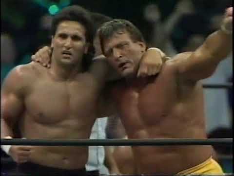 Pretty Wonderful (Paul Orndorff Paul Roma) vs. Terry Taylor Erik Watts  - 5/15/1994 - WCW