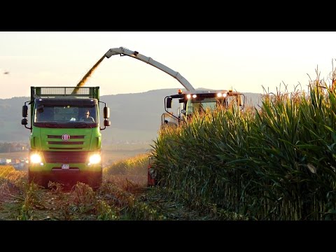 PD Dobrá Niva - Siláže 2016 - CLAAS Jaguar 930,850; Tatra 158 Phoenix 8x8, Tatra 815 Agro