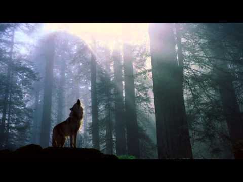 Dancefloor Tunerz - I Can't Believe (feat. Lyane Leigh)