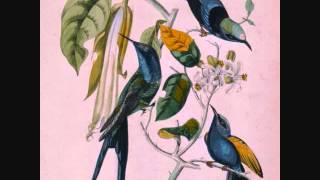 Susumu Yokota "Naminote"