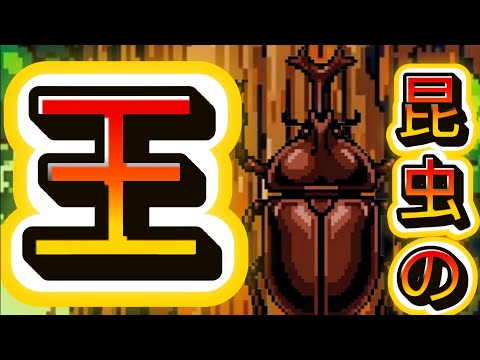 かぶくわ王_カブトムシ・クワガタ昆虫採集育成バトルゲーム