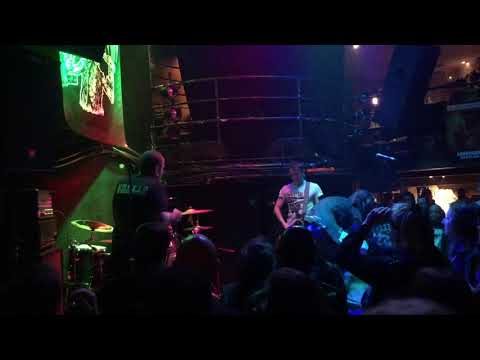 Chiens @ Earslaughter 4 -2019