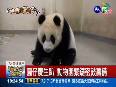 圓仔1歲了! 動物園開趴慶生