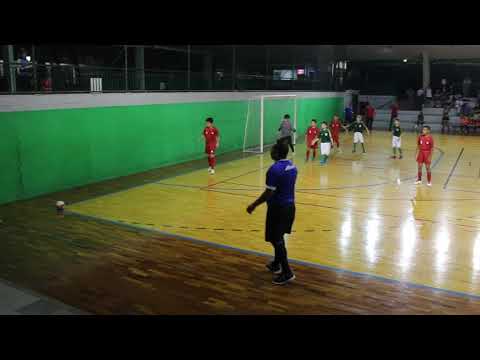 Palmeiras X Helvetia