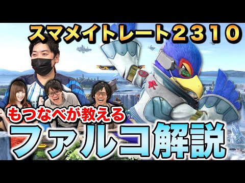 ファルコ (属)について詳しく解説