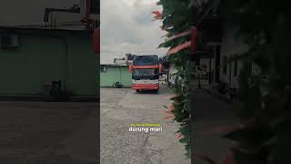 Download lagu Rosalia Indah Lampung | Bus Rosalia Indah Story Kata-kata #massoeparproject mp3
